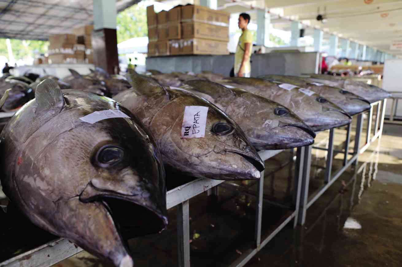 Picture of tuna displayed at the fish port in General Santos City.